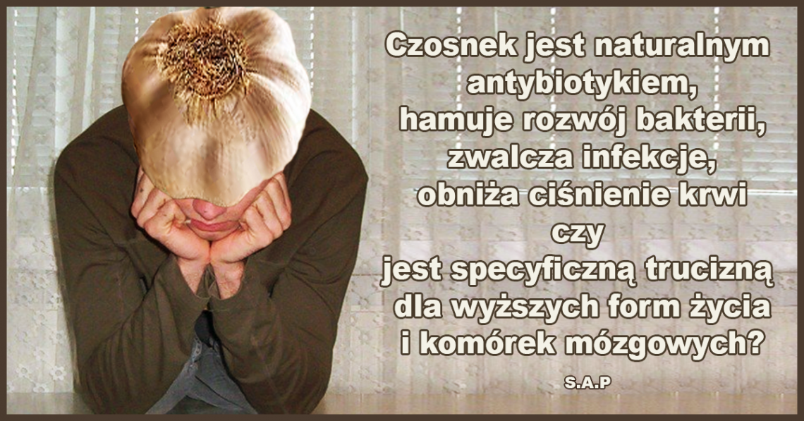 Czosnek jest naturalnym antybiotykiem, czy specyficzną trucizną dla wyższych form życia i komórek mózgowych?