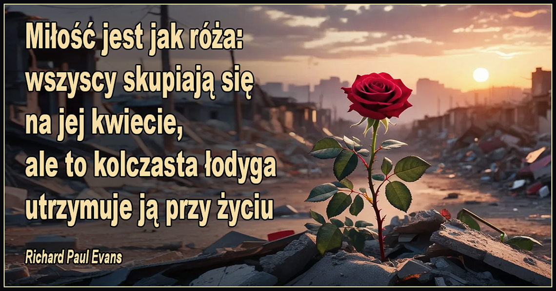 Miłość jest jak róża: wszyscy skupiają się na jej kwiecie, ale to kolczasta łodyga utrzymuje ją przy życiu - Richard Paul Evans