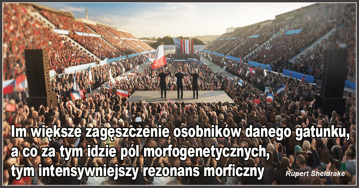 Im większe zagęszczenie osobników danego gatunku, a co za tym idzie pól morfogenetycznych, tym intensywniejszy rezonans morficzny - Rupert Sheldrake